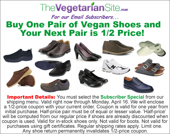 next vegan shoes